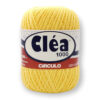 Купить пряжу CIRCULO CLEA цвет 1709 производства фабрики CIRCULO
