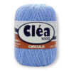 Купить пряжу CIRCULO CLEA цвет 2137 производства фабрики CIRCULO