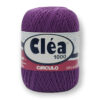 Купить пряжу CIRCULO CLEA цвет 6313 производства фабрики CIRCULO
