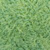 Купить пряжу КАМТЕКС Лотос Травка Стрейч цвет 026-Салатовый производства фабрики КАМТЕКС