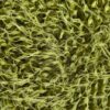 Купить пряжу КАМТЕКС Лотос Травка Стрейч цвет 038-Оливка производства фабрики КАМТЕКС
