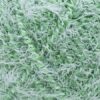 Купить пряжу КАМТЕКС Лотос Травка Стрейч цвет 042-Полынь производства фабрики КАМТЕКС