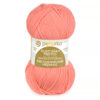 Купить пряжу ПЕХОРСКИЙ ТЕКСТИЛЬ Австралийский Меринос цвет 351-Св.коралл производства фабрики ПЕХОРСКИЙ ТЕКСТИЛЬ