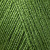Купить пряжу ПЕХОРСКИЙ ТЕКСТИЛЬ Детская Новинка цвет 192-Зелень производства фабрики ПЕХОРСКИЙ ТЕКСТИЛЬ