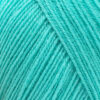 Купить пряжу ПЕХОРСКИЙ ТЕКСТИЛЬ Детская Новинка цвет 222-Голубая бирюза производства фабрики ПЕХОРСКИЙ ТЕКСТИЛЬ