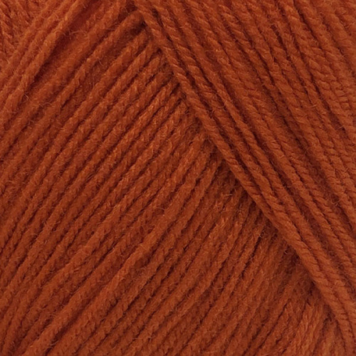 Купить пряжу ПЕХОРСКИЙ ТЕКСТИЛЬ Детская Новинка цвет 31-Терракот производства фабрики ПЕХОРСКИЙ ТЕКСТИЛЬ