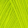 Купить пряжу ПЕХОРСКИЙ ТЕКСТИЛЬ Детская Новинка цвет 463-Флавиновый производства фабрики ПЕХОРСКИЙ ТЕКСТИЛЬ