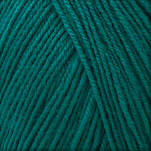 Купить пряжу ПЕХОРСКИЙ ТЕКСТИЛЬ Детская Новинка цвет 591-Лагуна производства фабрики ПЕХОРСКИЙ ТЕКСТИЛЬ