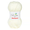 Купить пряжу ROZETTI MONTANA цвет 155-26 производства фабрики ROZETTI