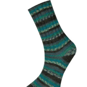 Купить пряжу HiMALAYA SOCKS BAMBOO цвет 120-04 производства фабрики HiMALAYA