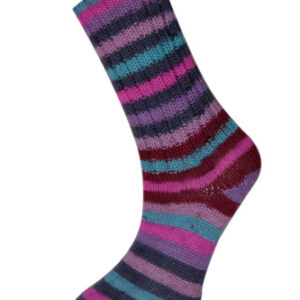 Купить пряжу HiMALAYA SOCKS цвет 140-02 производства фабрики HiMALAYA