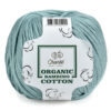 Купить пряжу Сhanté ORGANIC BAMBINO COTTON цвет 2004 производства фабрики Сhanté