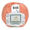 Купить пряжу Сhanté ORGANIC BAMBINO COTTON цвет 2007 производства фабрики Сhanté