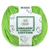 Купить пряжу Сhanté ORGANIC BAMBINO COTTON цвет 2043 производства фабрики Сhanté