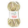 Купить пряжу ROZETTI MONTANA COLORS цвет 157-11 производства фабрики ROZETTI