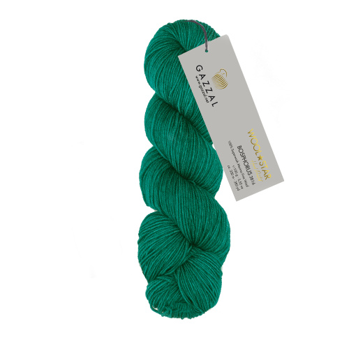 Купить пряжу GAZZAL Wool Star цвет Wool Star (3816) производства фабрики GAZZAL