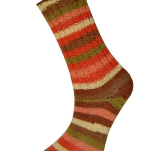 Купить пряжу HiMALAYA SOCKS цвет 140-03 производства фабрики HiMALAYA