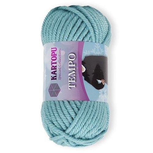 Купить пряжу KARTOPU TEMPO 600GR цвет K435 производства фабрики KARTOPU