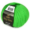 Купить пряжу Сhanté Baby Merino цвет 1014 производства фабрики Сhanté