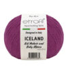 Купить пряжу ETROFIL Iceland цвет 6093 производства фабрики ETROFIL