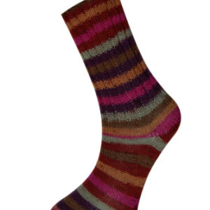 Купить пряжу HiMALAYA SOCKS цвет 140-04 производства фабрики HiMALAYA
