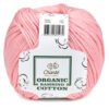 Купить пряжу Сhanté ORGANIC BAMBINO COTTON цвет 2039 производства фабрики Сhanté