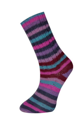 Купить пряжу HiMALAYA SOCKS цвет 140-02 производства фабрики HiMALAYA