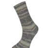 Купить пряжу HiMALAYA SOCKS цвет 170-01 производства фабрики HiMALAYA
